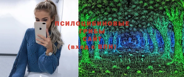 бошки Абдулино