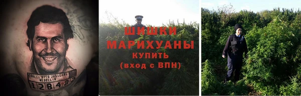 крисы Абинск
