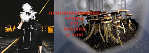 крисы Киренск