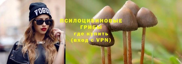 бошки Абдулино