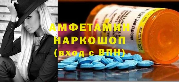 PSILOCYBIN Алзамай